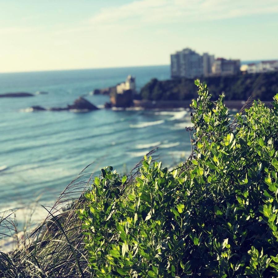Сasa de vacaciones Bella A 250m Des Plages Biarriz